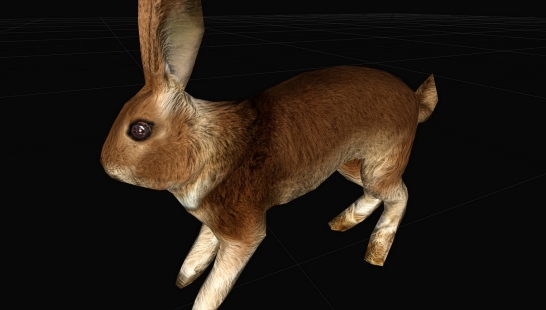 兔子HD