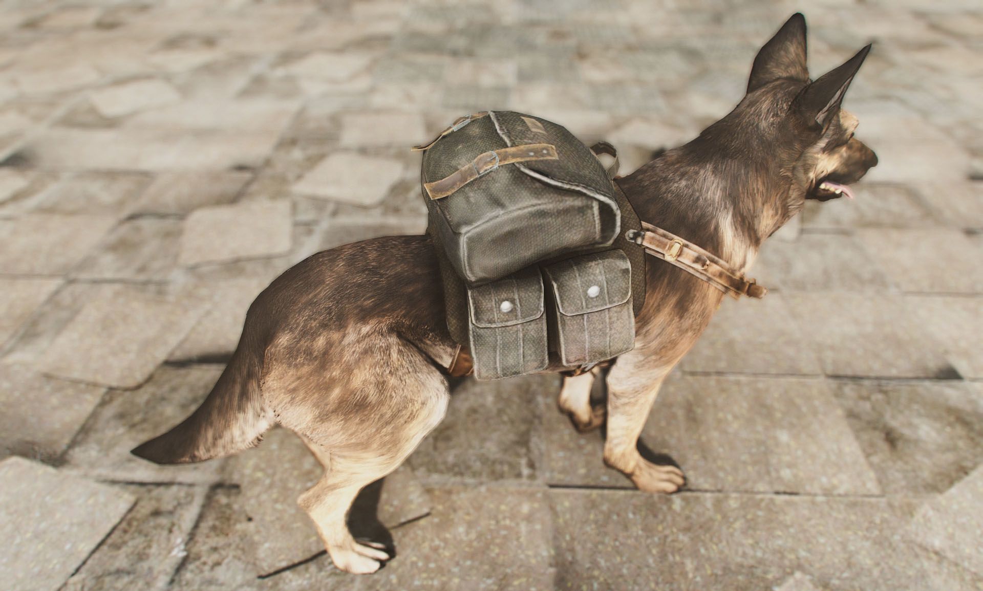 辐射4 狗用背包MOD